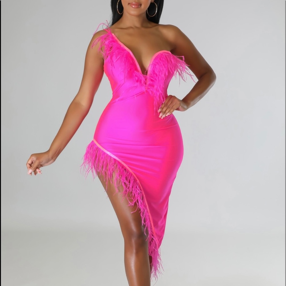 Beautiful feather dress